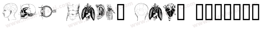 the body, vol. I字体转换